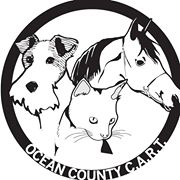 Ocean CART logo